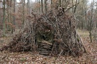 Du lourd en sous-bois