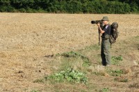 A main levée
