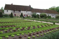 Chenonceau