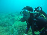 DCIM100GOPROGOPR1542.
