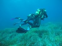 DCIM100GOPROGOPR1544.