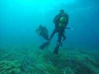 DCIM100GOPROGOPR1546.