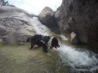 DCIM100GOPROGOPR1613.