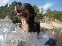 DCIM100GOPROGOPR1765.