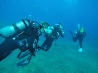 DCIM100GOPROGOPR1644.