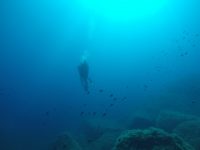DCIM100GOPROGOPR1650.