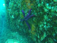 DCIM100GOPROGOPR2470.