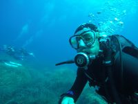 DCIM100GOPROGOPR2561.