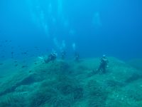 DCIM100GOPROGOPR2562.