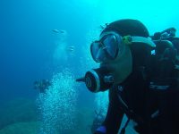 DCIM100GOPROGOPR2575.