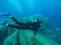 DCIM100GOPROGOPR2629.