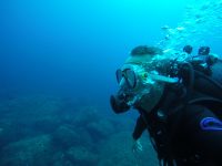 DCIM100GOPROGOPR2632.