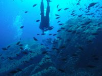 DCIM100GOPROGOPR2672.