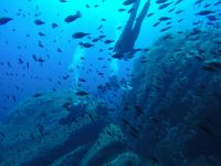 DCIM100GOPROGOPR2673.