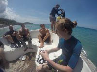 DCIM100GOPROGOPR3012.
