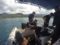 DCIM100GOPROGOPR3019.