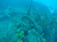 DCIM100GOPROGOPR3051.