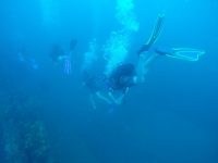 DCIM100GOPROGOPR3059.
