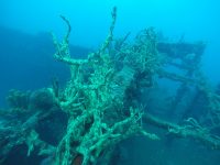 DCIM100GOPROGOPR3069.