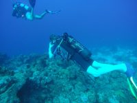 DCIM100GOPROGOPR3102.