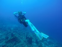DCIM100GOPROGOPR3115.