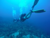 DCIM100GOPROGOPR3121.