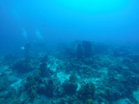 DCIM100GOPROGOPR3122.