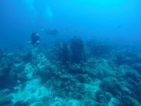 DCIM100GOPROGOPR3123.