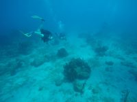 DCIM100GOPROGOPR3152.