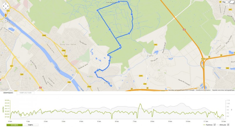 Canicross