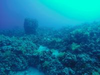 DCIM100GOPROGOPR2089.