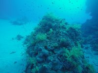 DCIM100GOPROGOPR2101.