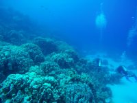 DCIM100GOPROGOPR2143.