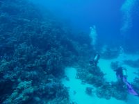 DCIM100GOPROGOPR2175.