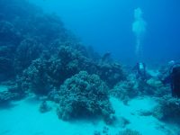 DCIM100GOPROGOPR2178.
