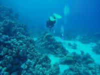 DCIM100GOPROGOPR2180.
