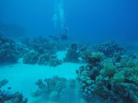DCIM100GOPROGOPR2182.