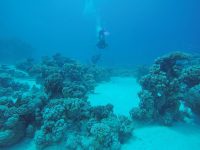 DCIM100GOPROGOPR2183.