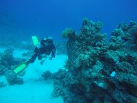 DCIM100GOPROGOPR2187.