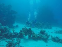 DCIM100GOPROGOPR2189.