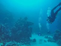 DCIM100GOPROGOPR2190.