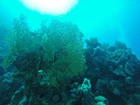 DCIM100GOPROGOPR2193.