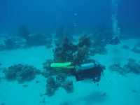 DCIM100GOPROGOPR2195.