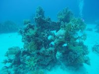 DCIM100GOPROGOPR2196.
