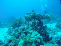 DCIM100GOPROGOPR2198.