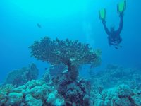 DCIM100GOPROGOPR2199.