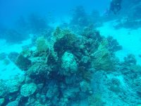 DCIM100GOPROGOPR2204.