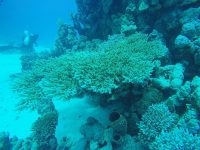DCIM100GOPROGOPR2208.