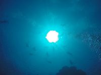 DCIM100GOPROGOPR2230.