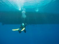 DCIM100GOPROGOPR2252.
